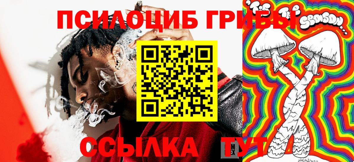 Псилоцибиновые грибы мухоморы  Вход с VPN  Кинешма 
